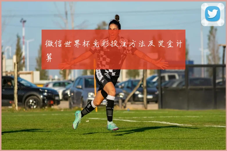 微信世界杯竞彩投注方法及奖金计算