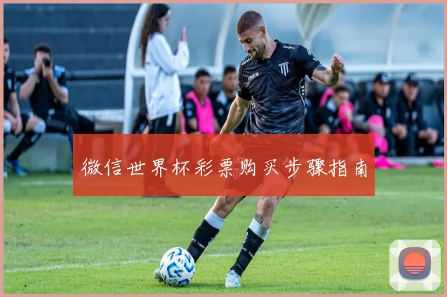 微信世界杯彩票购买步骤指南