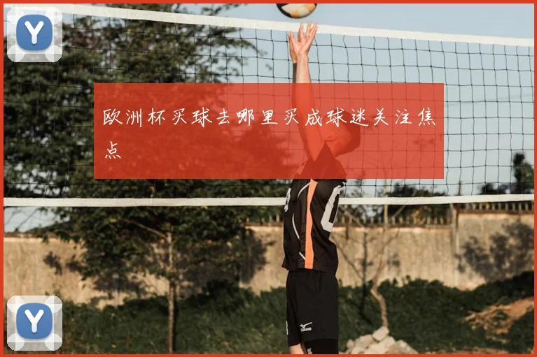 欧洲杯买球去哪里买成球迷关注焦点